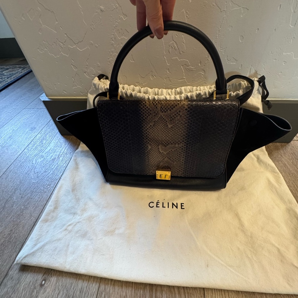 Celine Python Trapeze Bag with shoulder strap - image 2